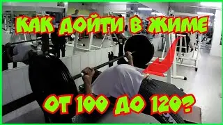 Как жать много. Лучшая подсобка для жима лёжа