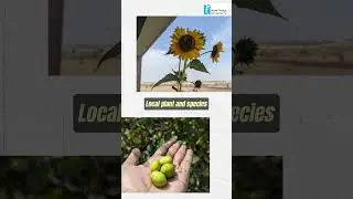 Green initiatives at Azim Premji University (Bhopal Campus)