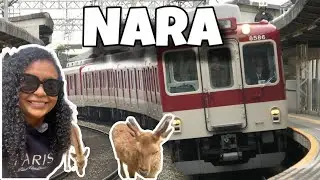 Trem de Osaka para Nara | Como ir de Osaka para Nara