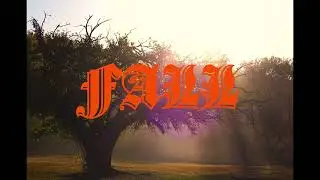 FALL