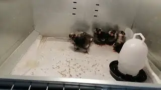 У  нас пополнение.