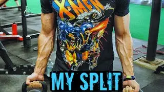 My Current Split: Beginner Size & Strength Splits For Teen Bodybuilder / Powerlifter