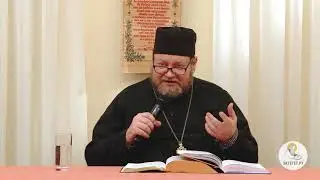 Протоиерей Олег Стеняев -Евангелие от Иоанна глава - 08