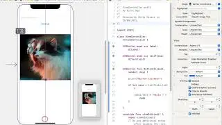 How to Add Images in XCode 12 | Swift 5.3