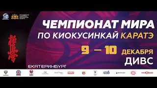 Чемпионат мира по киокусинкай каратэ 2017
