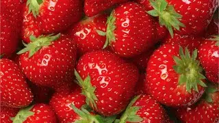 How to plant Strawberries