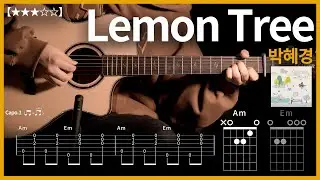 609.박혜경 - Lemon Tree(레몬트리) 기타커버 【★★★☆☆】 | Guitar tutorial |ギター 弾いてみた 【TAB譜】