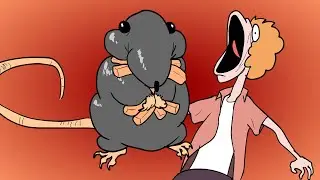 🐀 The RATS in the Sink!! An Animation for 