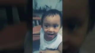 baby shark