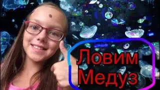 Ловлю медуз!