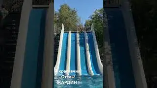 Завидуйте мне белки и жучки 😂