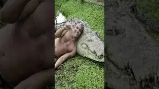 #lovestory #animallover #shorts #shortsvideo