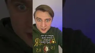 КАК НА САМОМ ДЕЛЕ КРИЧАТ РАЗНЫЕ ЖИВОТНЫЕ???