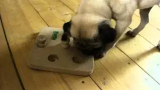 Oliver - the brain training