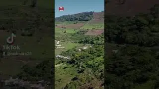 #shorts #vaca #rancho #potrero #dji