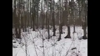 Петарды сломали зонтик Dropp