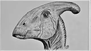 How to Draw a Parasaurolophus Head || Jurassic World: Dominion