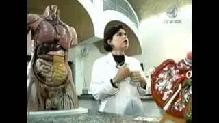 Reações da bebida alcóolica no organismo