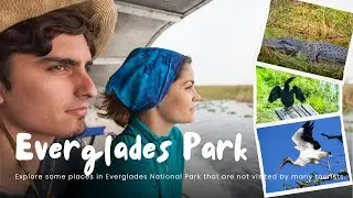 Everglades National Park, United State of America | UNESCO World Heritage