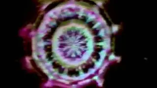 Yanni - End of August -- Thomas J. Spillane grants  copyright owner  free use of this animation