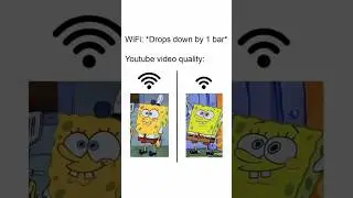 Daily Funny Memes 125 