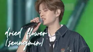 Stray Kids 2nd World Tour "MANIAC" Encore Osaka - Dried Flower (Seungmin)