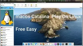 Mac OS 🍎 Catalina Play On Linux 🐧 ; supports windows 💻 ; resolution issues