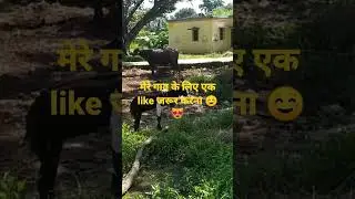 Indian village मेरा प्यारा गाव