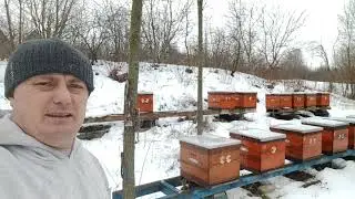 18 января на Пасеке.Зимуем Потихоньку.
