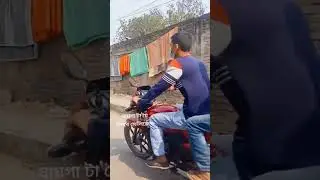 টাঙ্গাইলের পতিতালয় #shorts