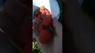 ммм,как вкусно #отойтиотпропасти