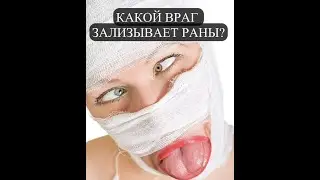 КАКОЙ ВРАГ ЗАЛИЗЫВАЕТ РАНЫ? 
