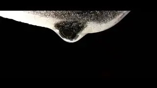 Mylène Farmer - Quand (Lyrics Video)