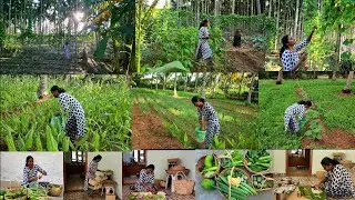 புது தோட்டத்தில் அறுவடை ஆரம்பம்/Morning to evening routine in my New garden/grand healthy lunch menu