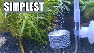 SIMPLEST DIY Aquarium CO2 setup