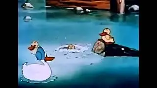 Fleischer  EP-01