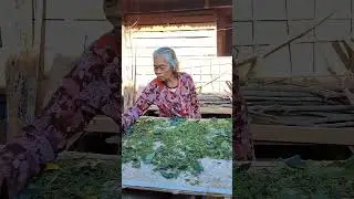 mbah mes lucu mepe gagang cengkeh