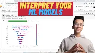 Interpret & Visualize Your ML Models| Python Tutorial|