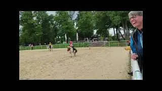 Österreichische und Oberösterreichische Meisterschaft Mounted Games Einzel