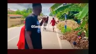 touch comedy
