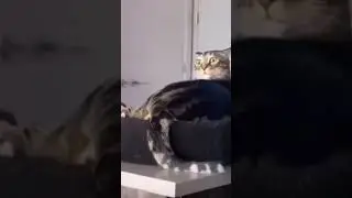 😂😂😂