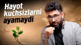 QIZIL yoxud hayot kuchsizlarni ayamaydi | 