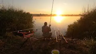 РИБАЛОЧКА НА ФЛЕТ!!! 31.07.23.