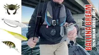 2024 BREAM Ballina | Day 1
