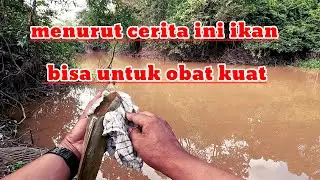 TERYATA MANCING IKAN LAIS ASIK JUGA