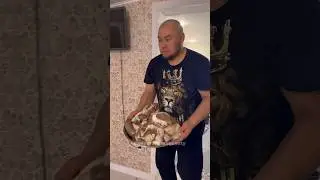 Моё ДР часть 1