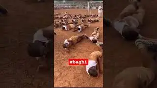 Baghi vs sipahi Ribery #sifuji #crpf #armylife #armystatus #armywhatsappstatus #ssb #sscgd #nsg #spg