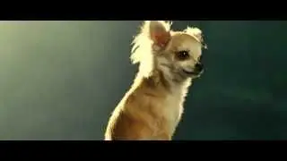 Джунгли зовут! В поисках Марсупилами (отрывок)