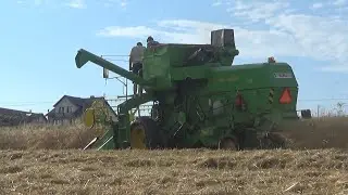 Żniwa 2021 ! Pszenżyto ㋡ Sypanie w locie ㋡ John Deere 330 & T25