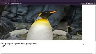 Image Recognition AI with ml5.js and p5.js